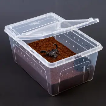 Универсальный ящик для кормления, защищенный от пыли, легко моющийся Прозрачный Ящик для контроля температуры в террариуме для рептилий и хомяков