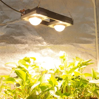CREE CXB3590 COB LED Grow Light Full Spectrum Citizen1212 Светодиодная лампа для выращивания растений мощностью 200 Вт для крытых тентовых теплиц Гидропонного завода